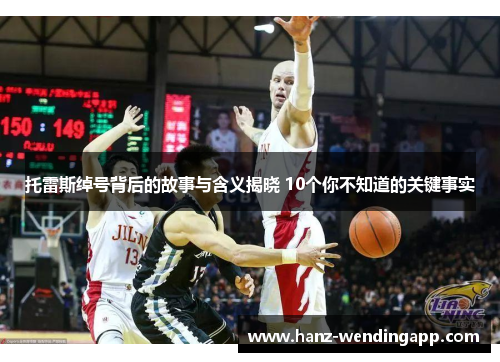 托雷斯绰号背后的故事与含义揭晓 10个你不知道的关键事实 托雷斯绰号背后的故事与含义揭晓 10个你不知道的关键事实