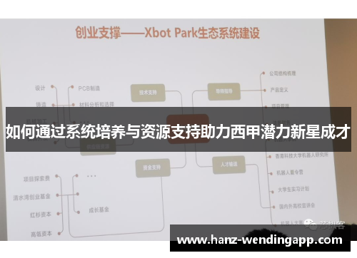 如何通过系统培养与资源支持助力西甲潜力新星成才