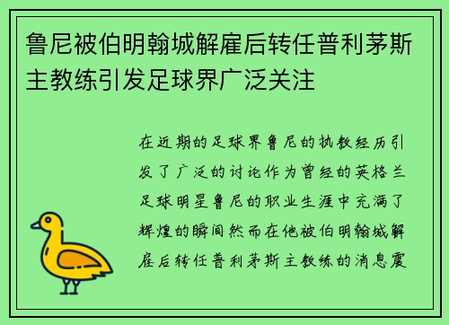 鲁尼被伯明翰城解雇后转任普利茅斯主教练引发足球界广泛关注