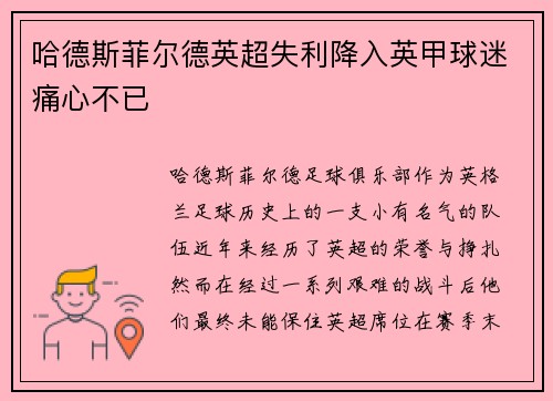 哈德斯菲尔德英超失利降入英甲球迷痛心不已