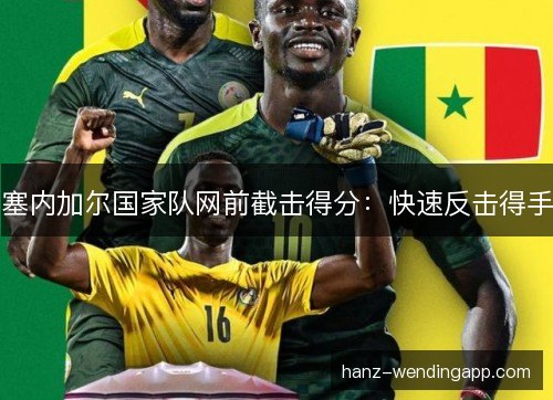 塞内加尔国家队网前截击得分：快速反击得手
