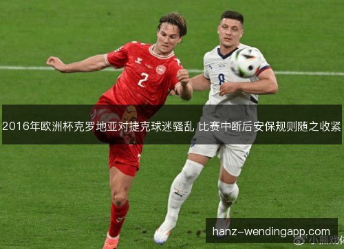 2016年欧洲杯克罗地亚对捷克球迷骚乱 比赛中断后安保规则随之收紧